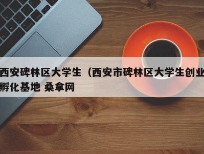 杭州西安碑林区大学生（西安市碑林区大学生创业孵化基地 桑拿网