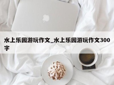 杭州水上乐园游玩作文_水上乐园游玩作文300字 